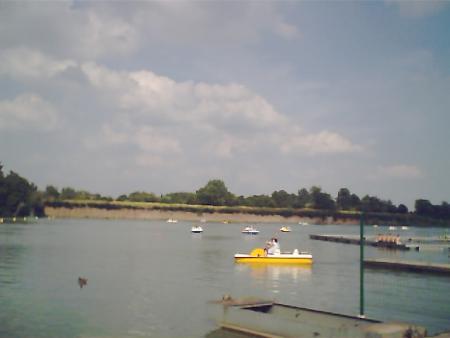 les pedalos  toujours � lequesnoy